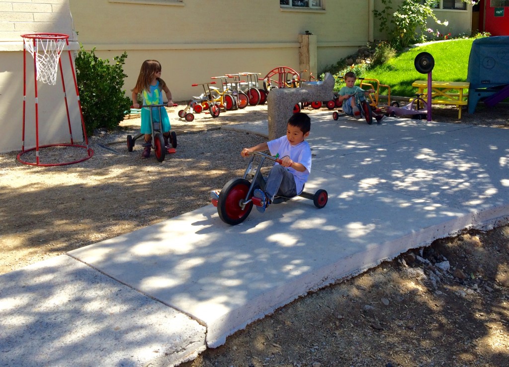 Outdoor Play at Noah's Ark